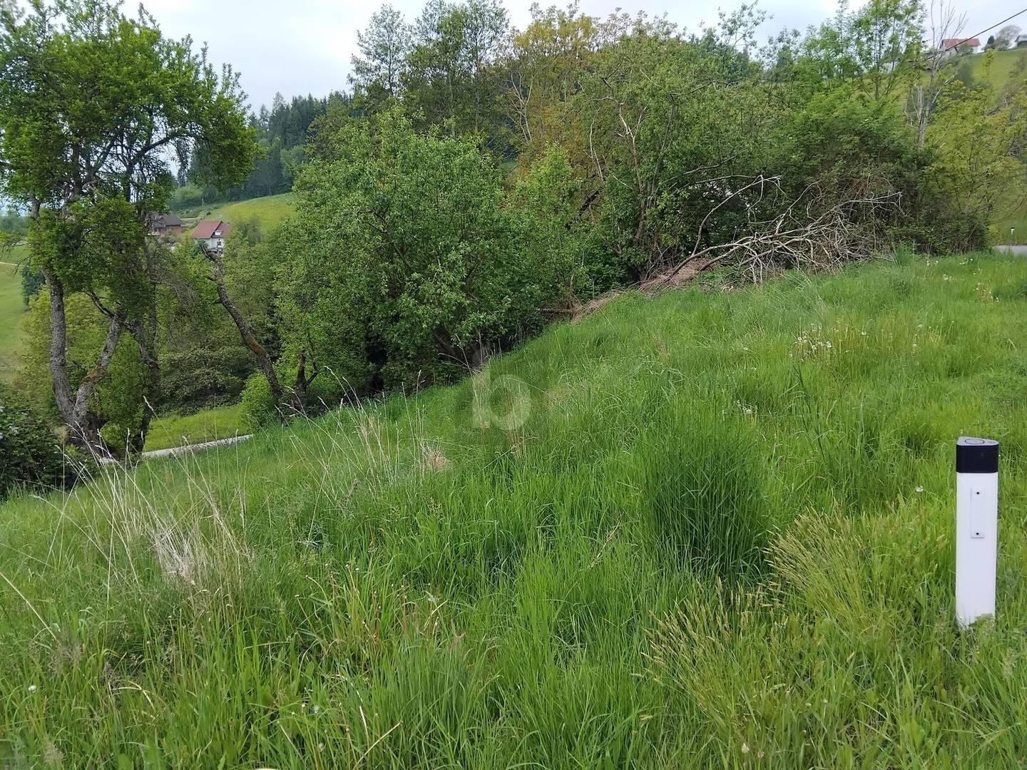 Ferienwohnung sonnig gelegen über der Nebelgrenze nahe Saualpe