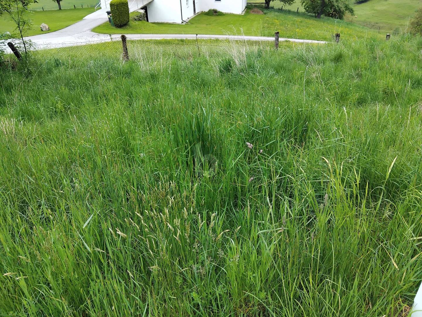 Ferienwohnung sonnig gelegen über der Nebelgrenze nahe Saualpe