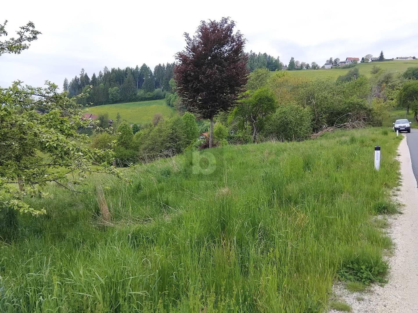 Ferienwohnung sonnig gelegen über der Nebelgrenze nahe Saualpe