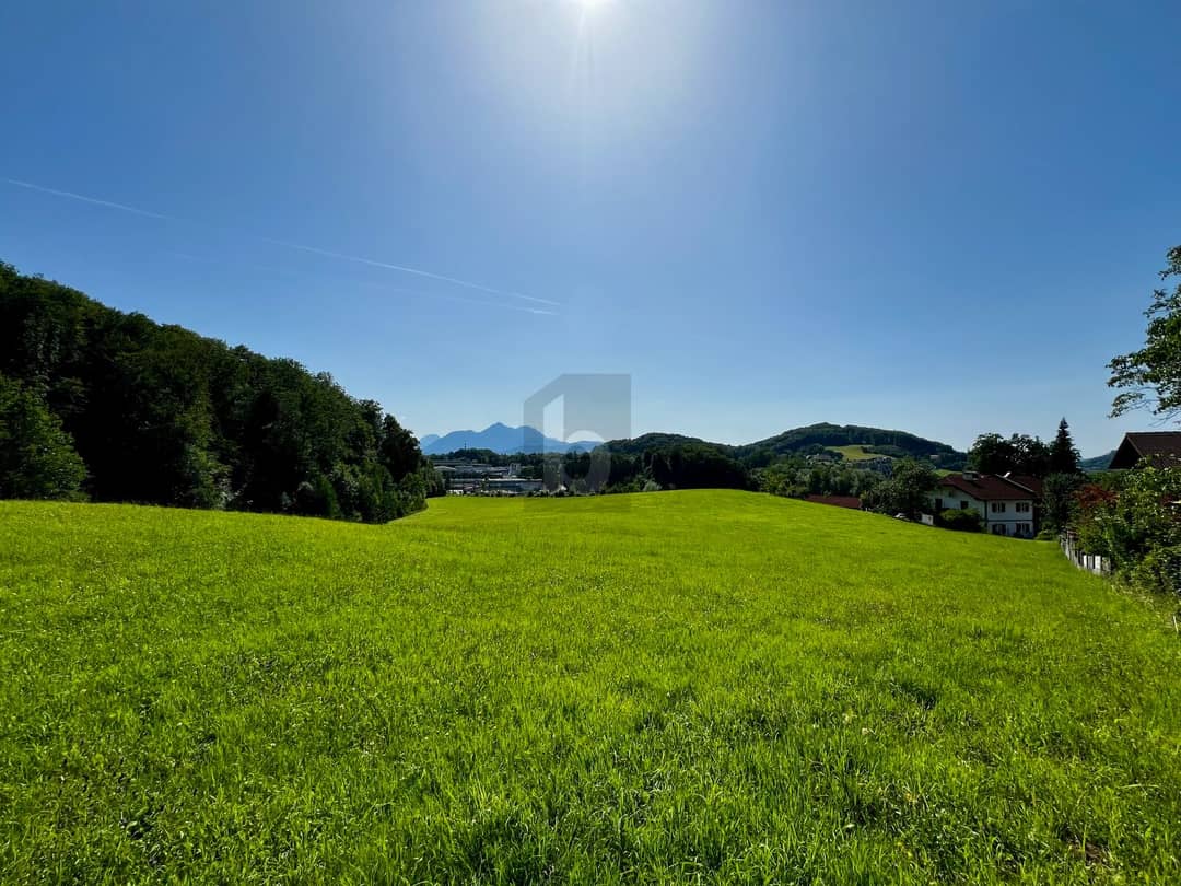 Agricultural Land Salzburg 10100m²