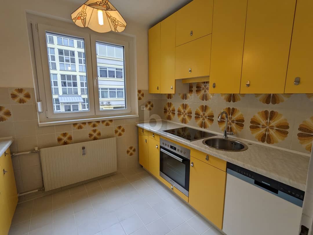 Modernized Apartment with Balcony and Parquet