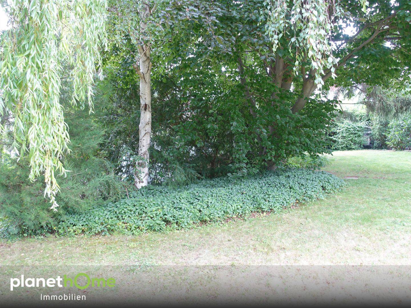 Grundstück am Küniglberg in Wien-Hietzing - 881 m², 2 Parzellen