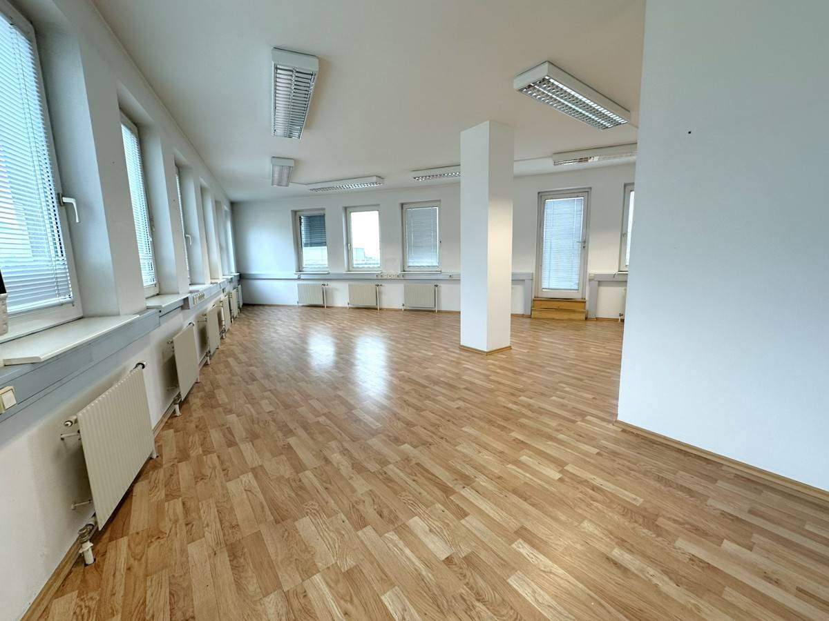 Apartment with a view of Schönbrunn Palace and terrace in prime location