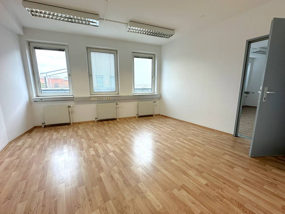 Apartment with views of Schönbrunn Palace and terrace