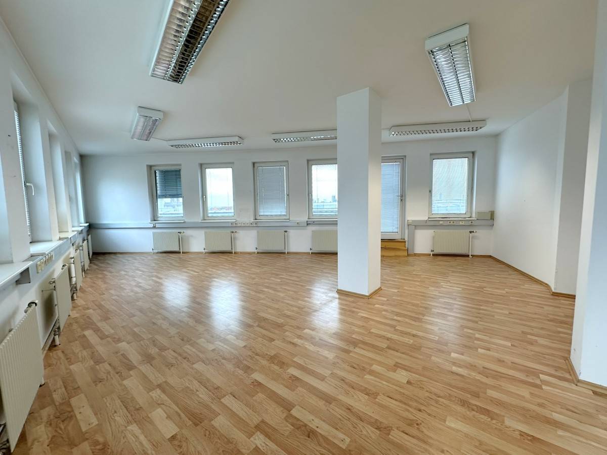 Apartment with views of Schönbrunn Palace and terrace