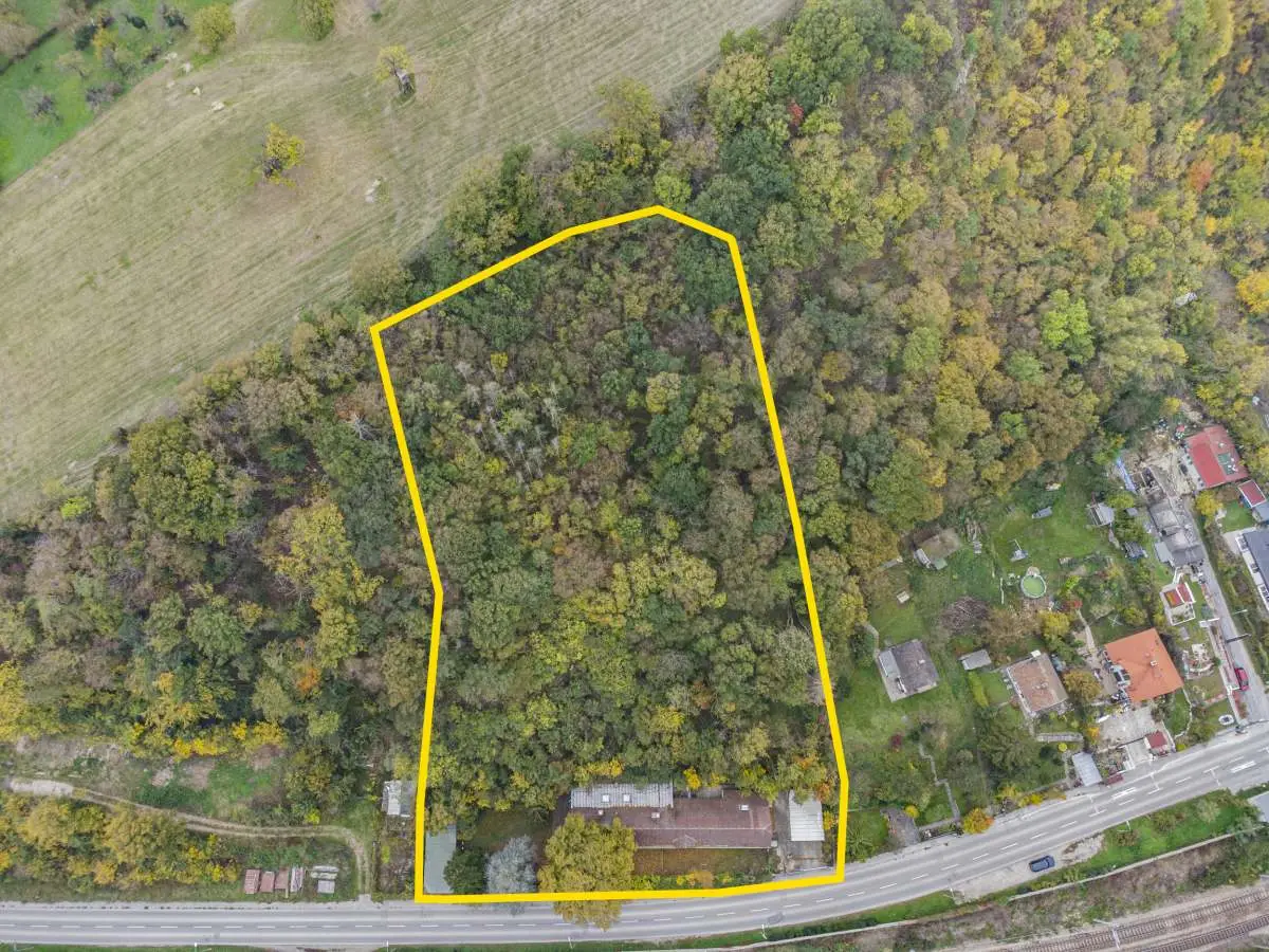 Apartment with garden and terraces by Danube and terrasse? nope rewrite later? wait