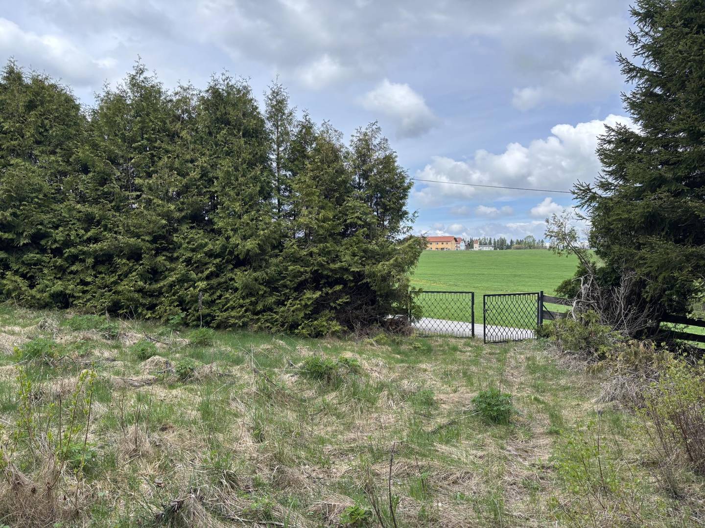 Baugrund 776 m² Davidschlag