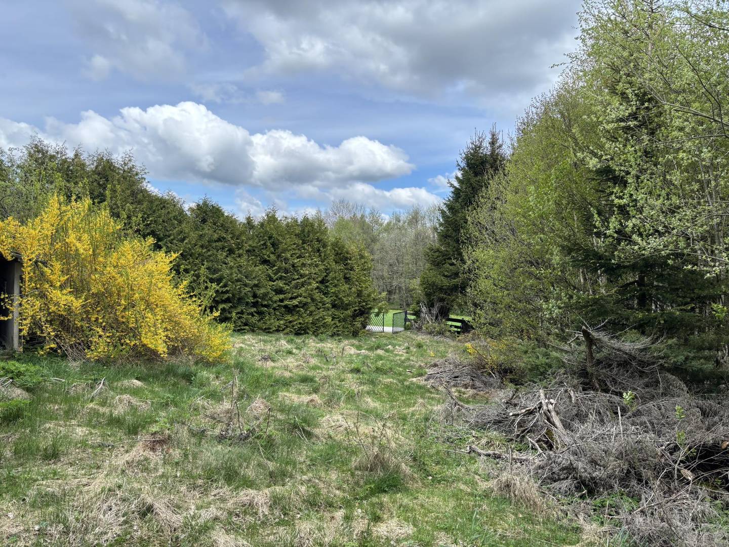 Baugrund 776 m² Davidschlag