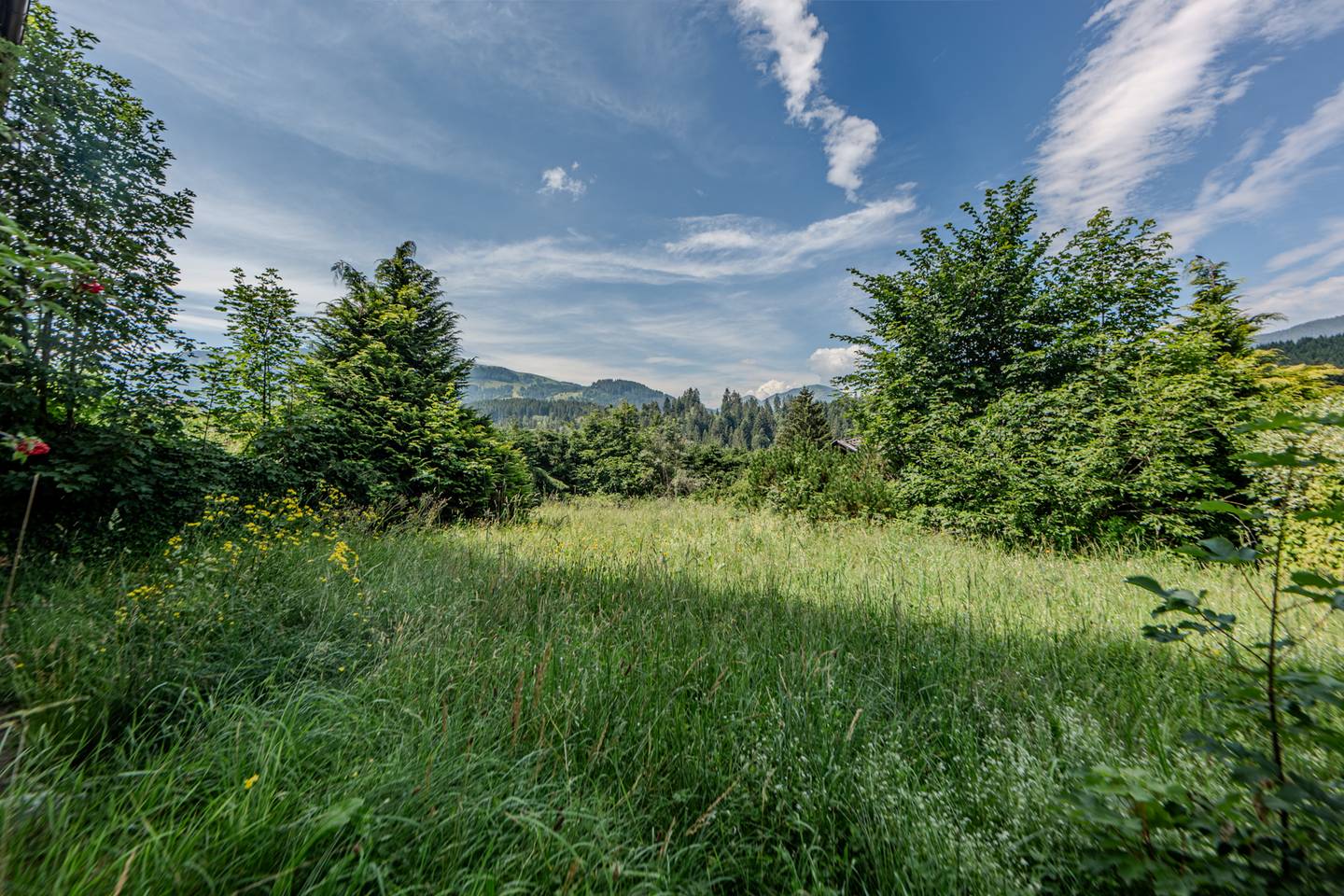 Grundstück mit Freizeitwohnsitzwidmung
