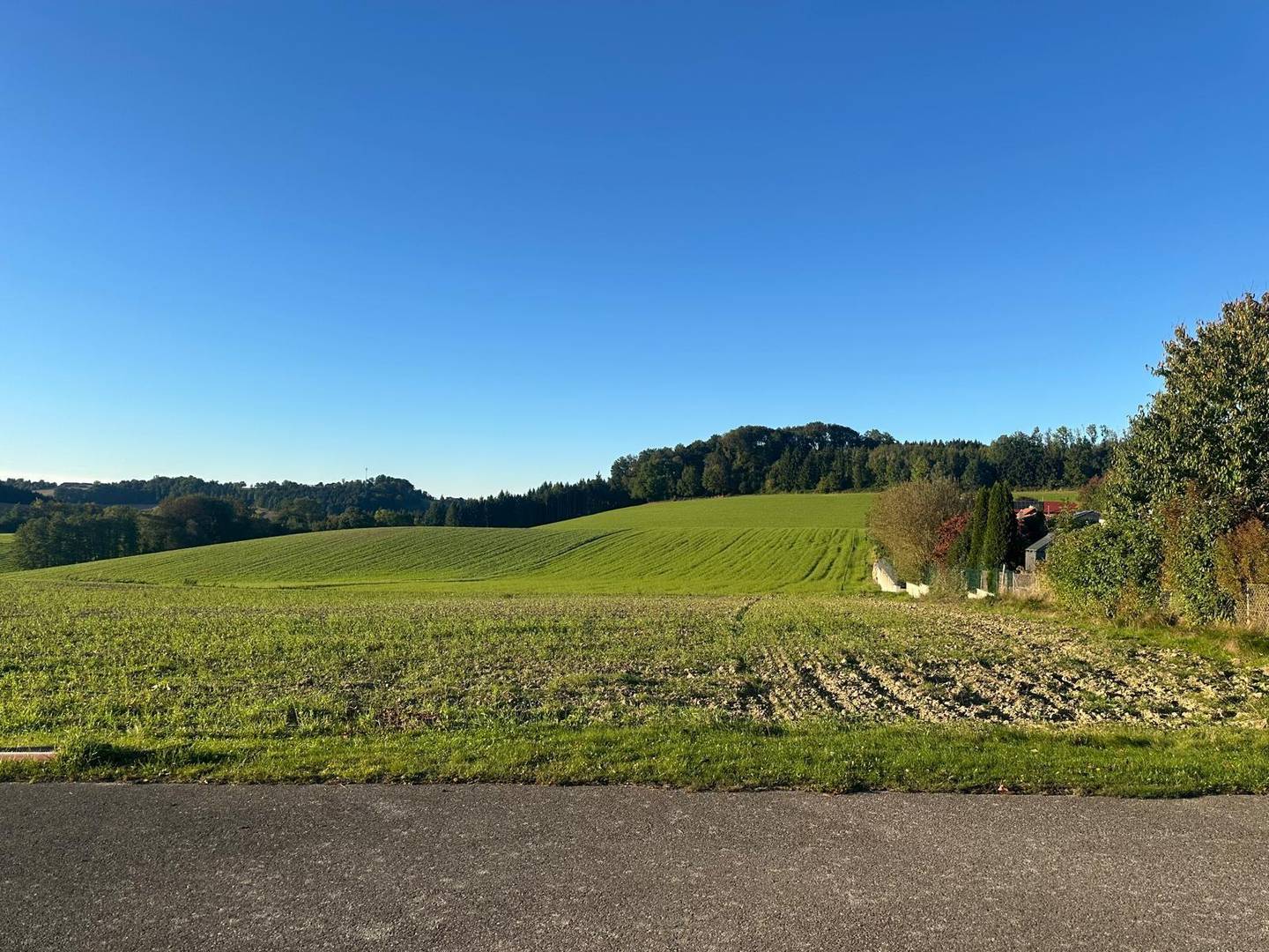 Baugrund in Naturlage mit Fernblick