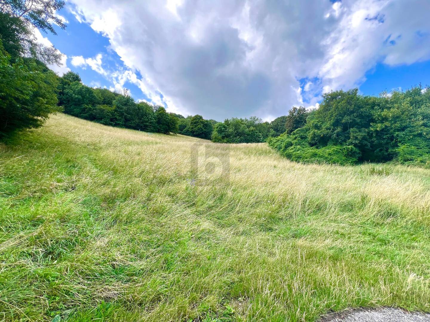 Grün gelegen mit herrlichem Weitblick Wohnung