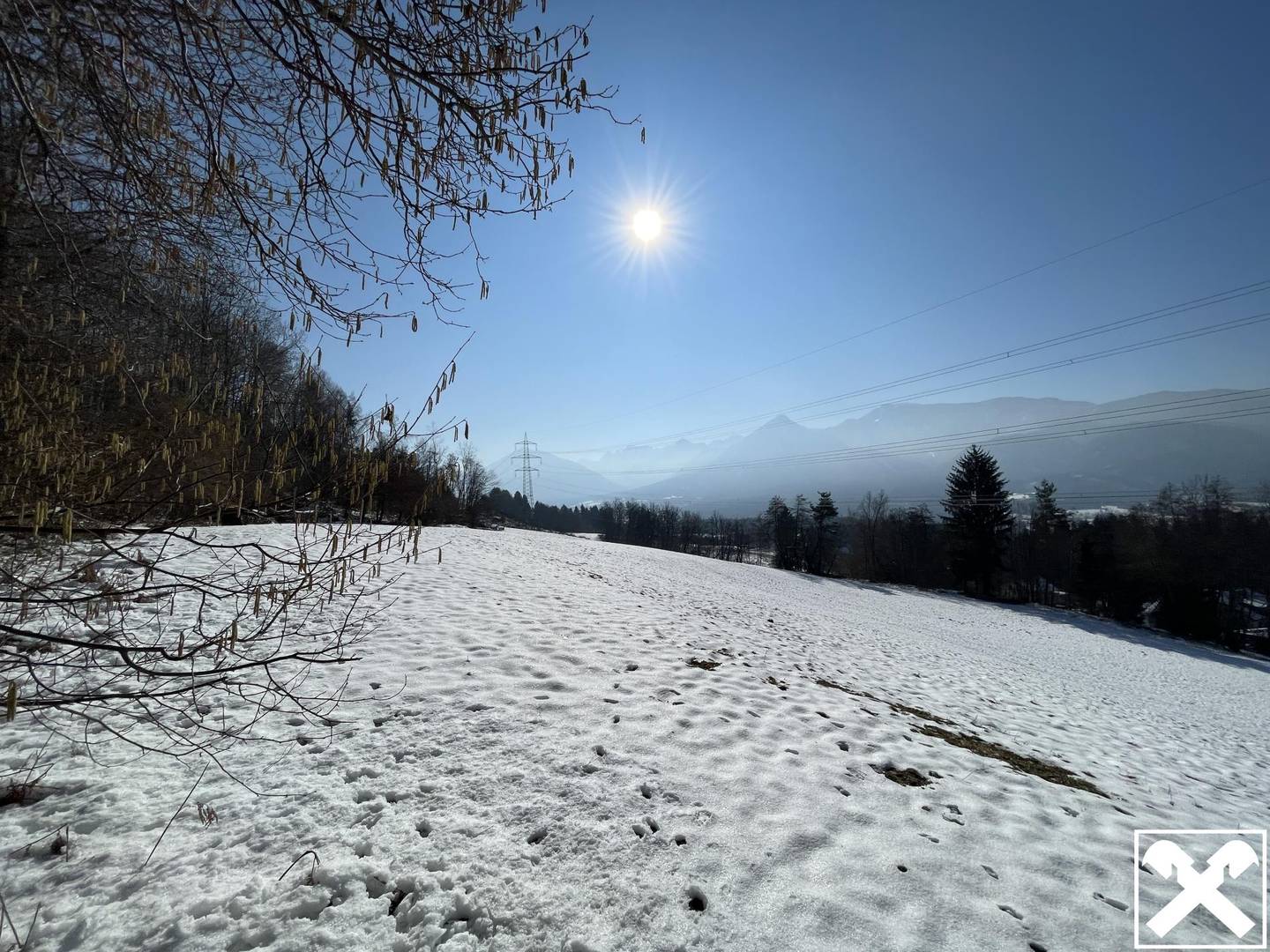 Wiese und Wald Nähe Ludmannsdorf