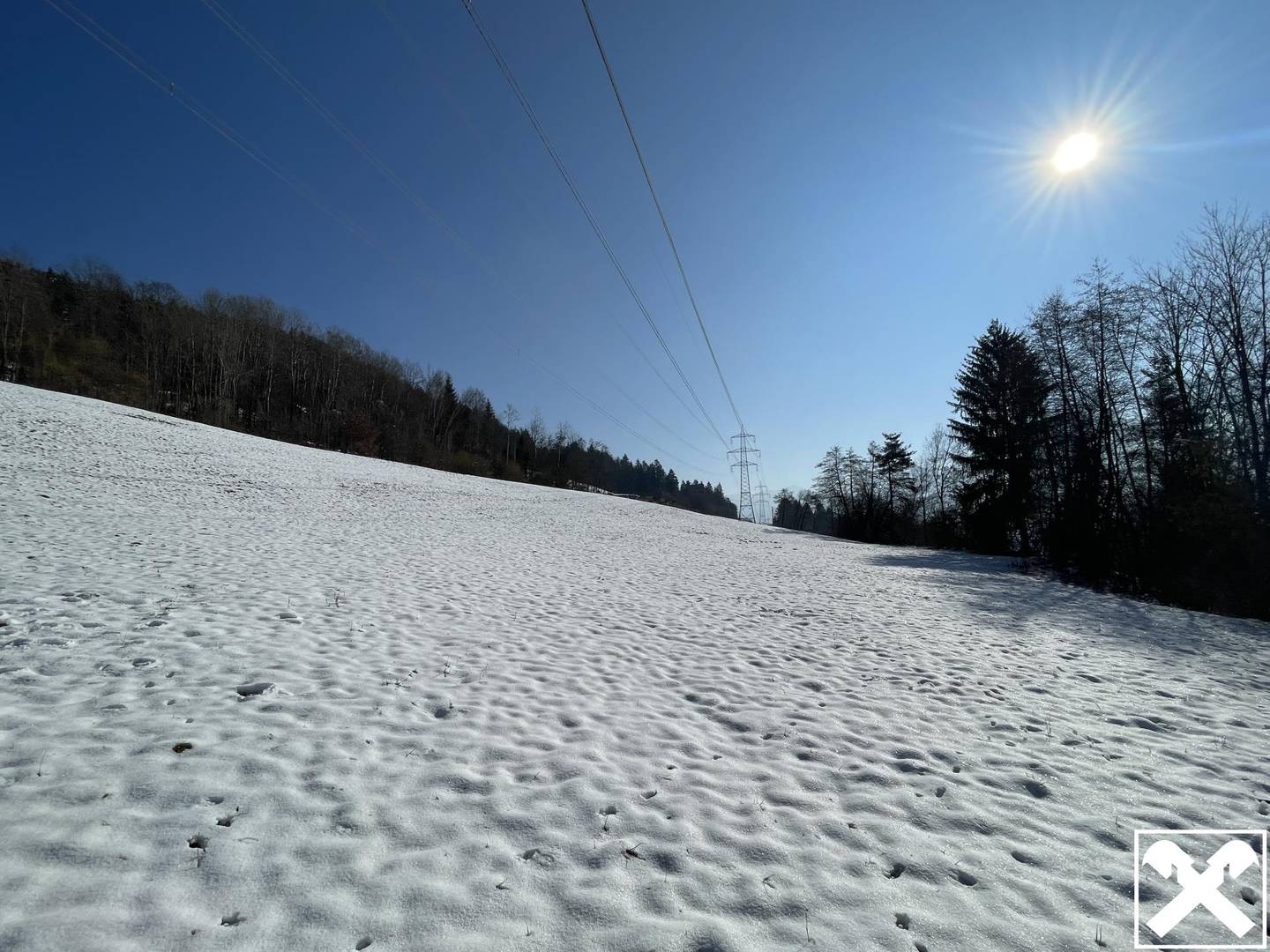 Wiese und Wald Nähe Ludmannsdorf