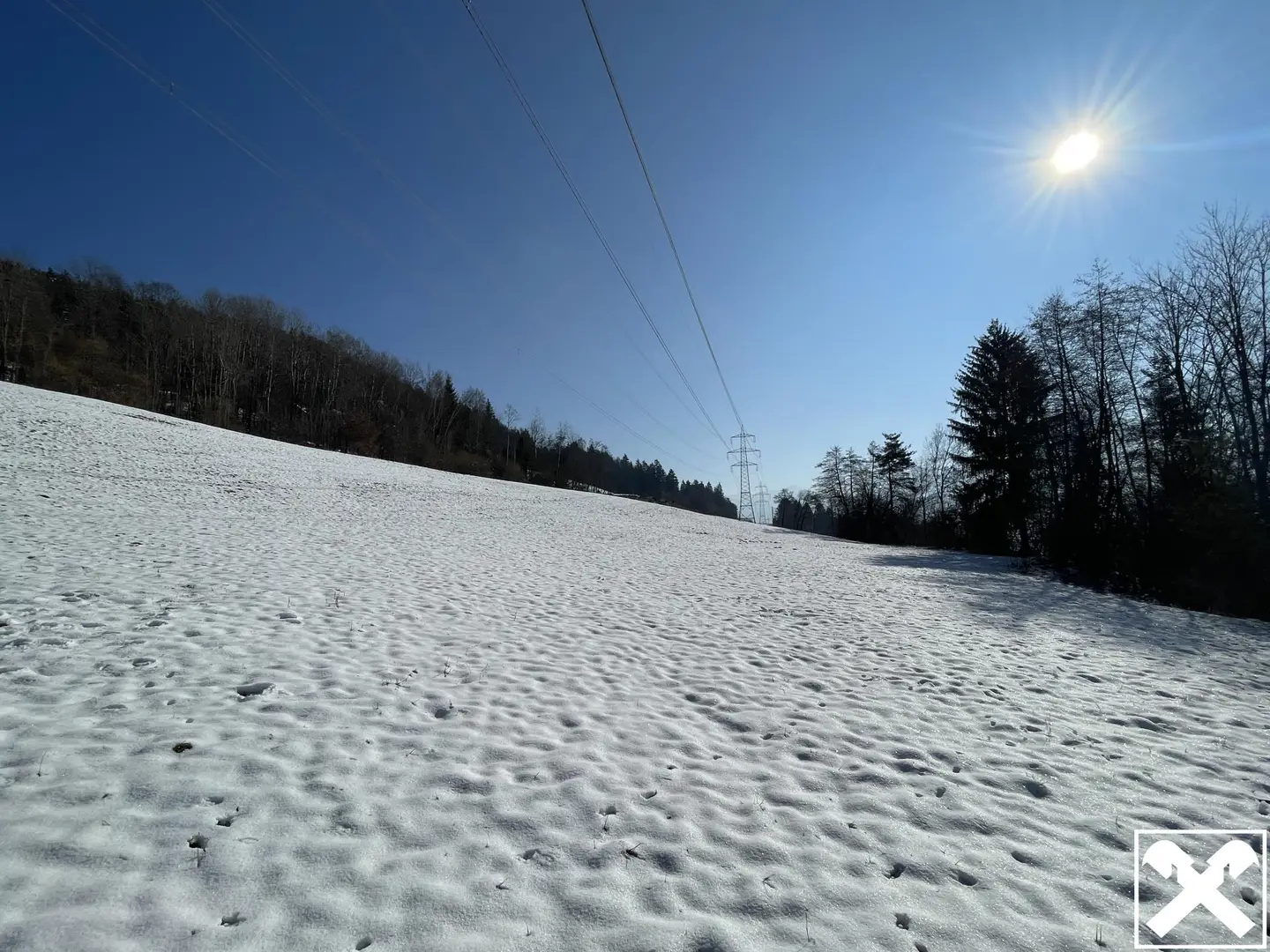 Wiese und Wald Nähe Ludmannsdorf