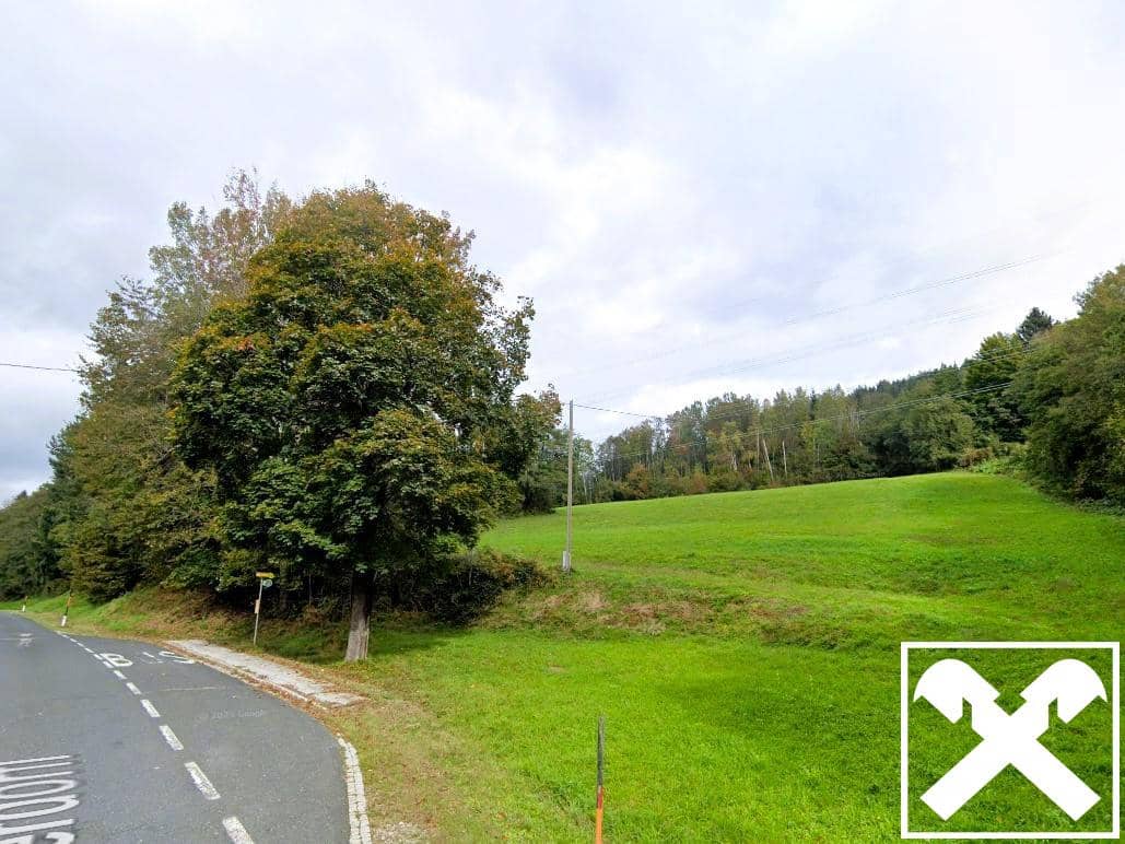 Wiese und Wald Nähe Ludmannsdorf