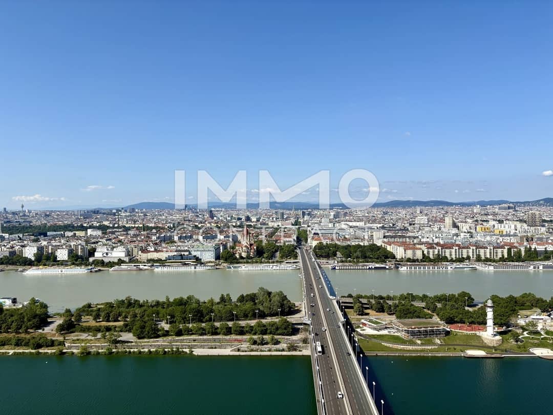 Ausblick Innere Stadt, Neue Donau