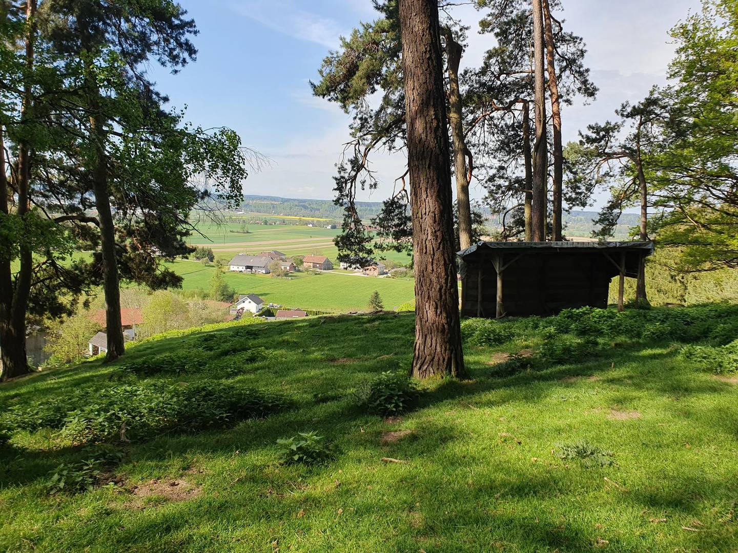 Landwirtschaftlicher Nutzgrund in wunderschöner ruhiger Aussichtslage !