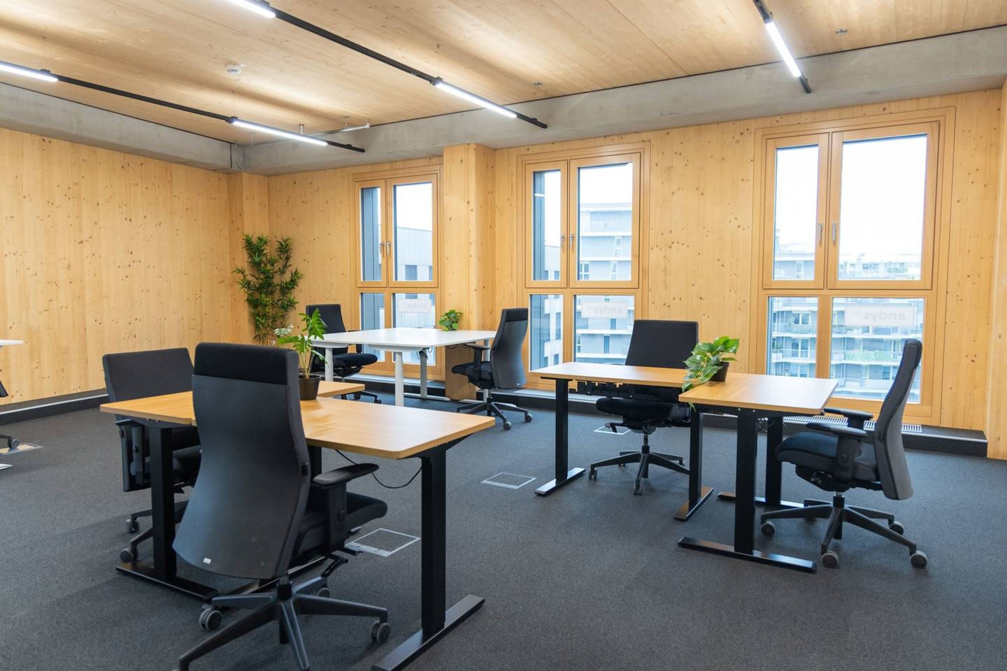 Büroflächen und Co-working in 1220 Wien - zu mieten