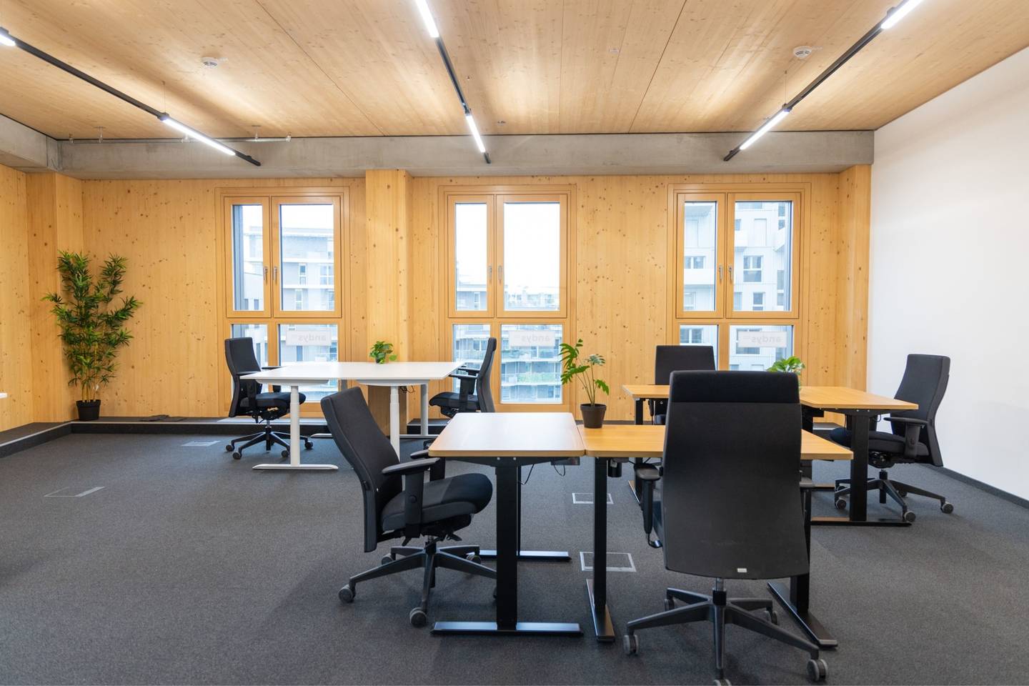 Büroflächen und Co-working in 1220 Wien - zu mieten