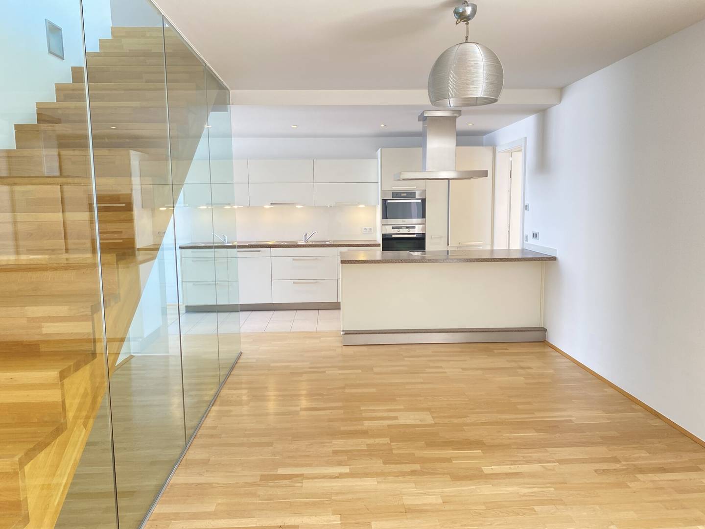 Dachgeschosswohnung Blick zur Karlskirche