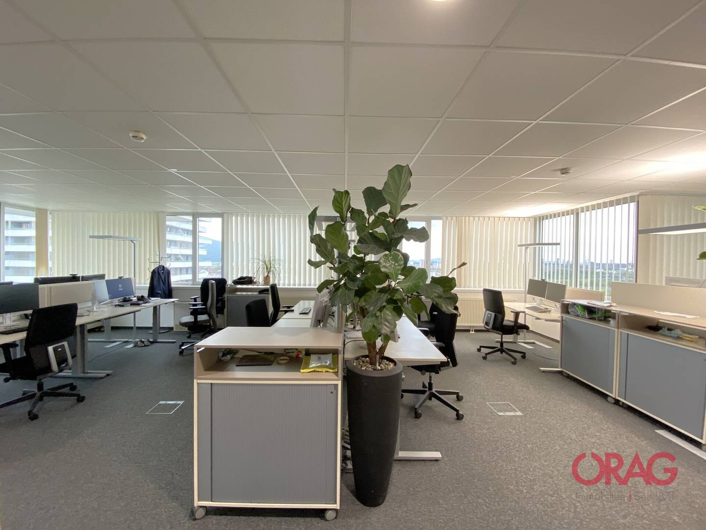 Apartment bright office spaces with good infrastructure
