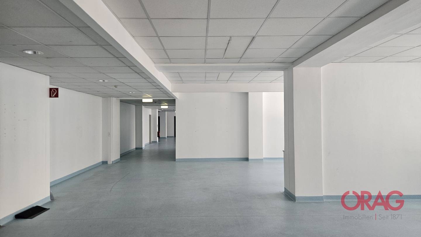 Moderne Bürofläche in 1030 Wien am Belvedere-Garten, Festsaal
