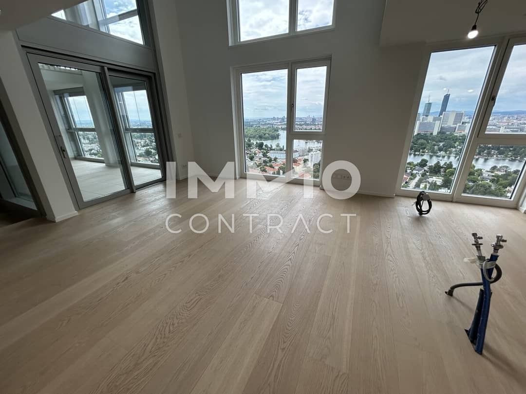 Two level penthouse with Danube and city view