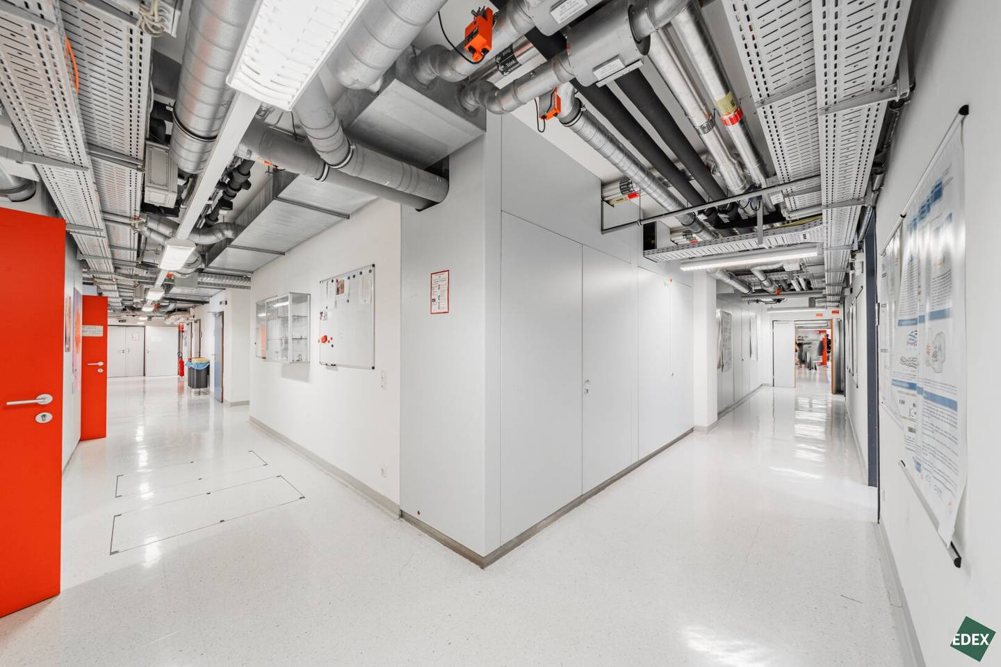 Fully equipped laboratory spaces in Vienna Bio Center
