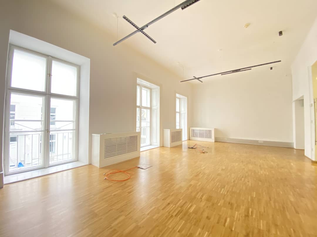 Apartment in a historic palace near Belvedere