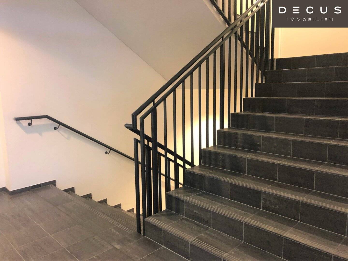 FORUM SCHÖNBRUNN | FLEXIBLE AND BRIGHT OFFICE SPACES | IN BUILDING PART 2