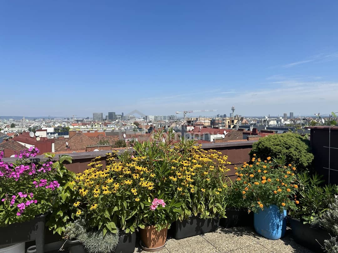 Wohnung mit Dachterrasse und Panoramablick