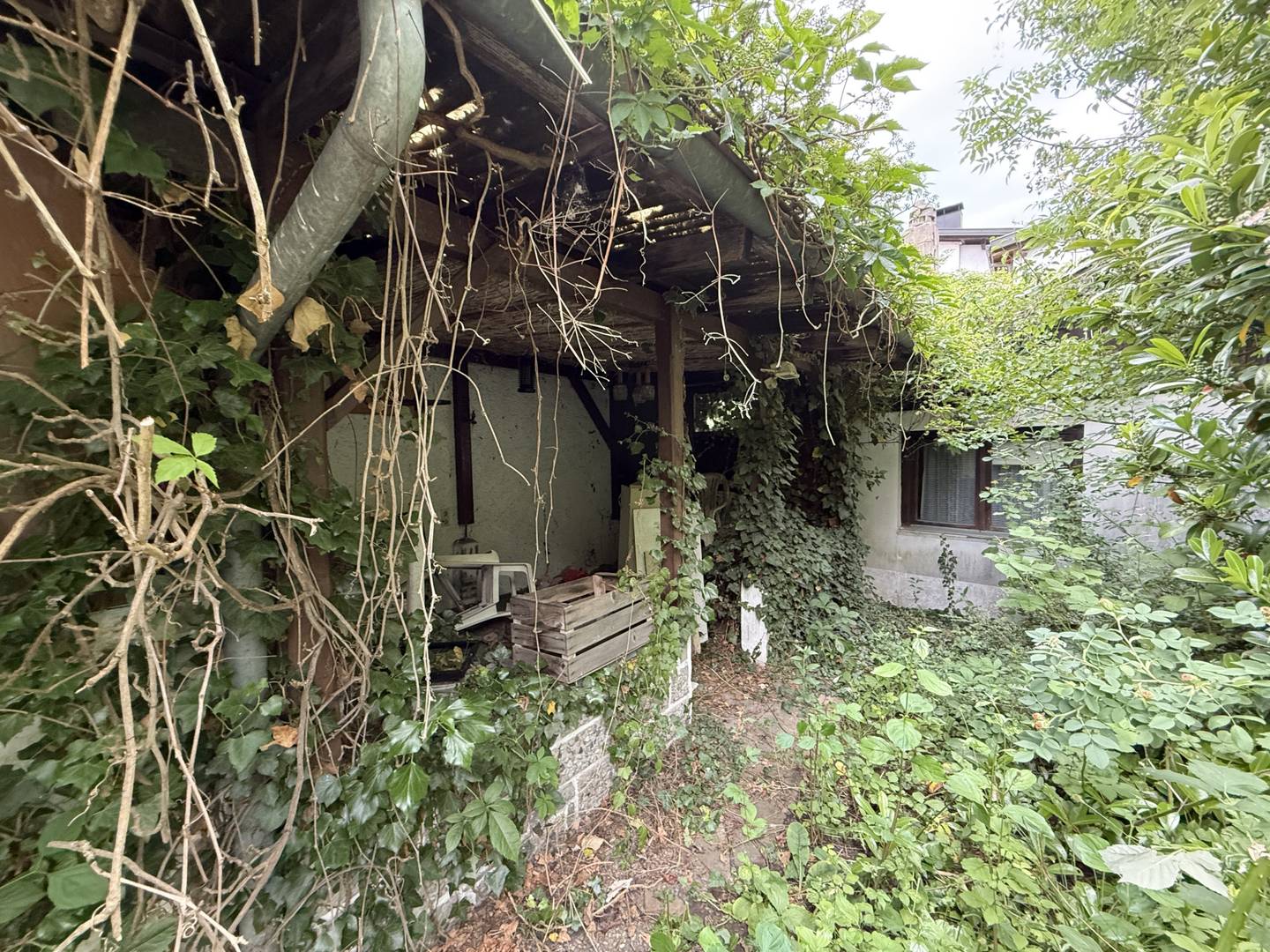 Interessantes Grundstück mit Altbestand im Baumischgebiet