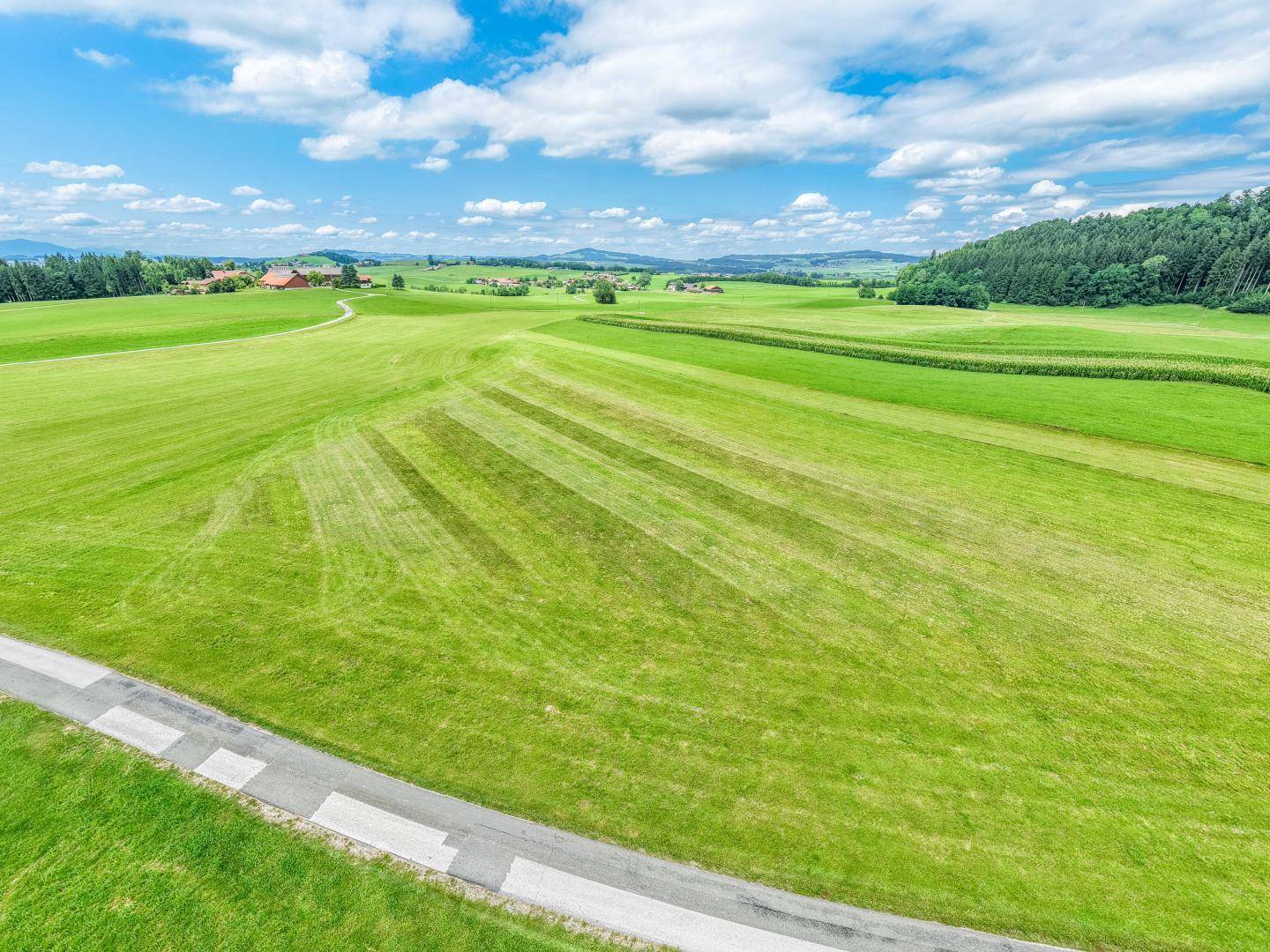Landwirtschaftliche Nutzfläche in Neumarkt am Wallersee