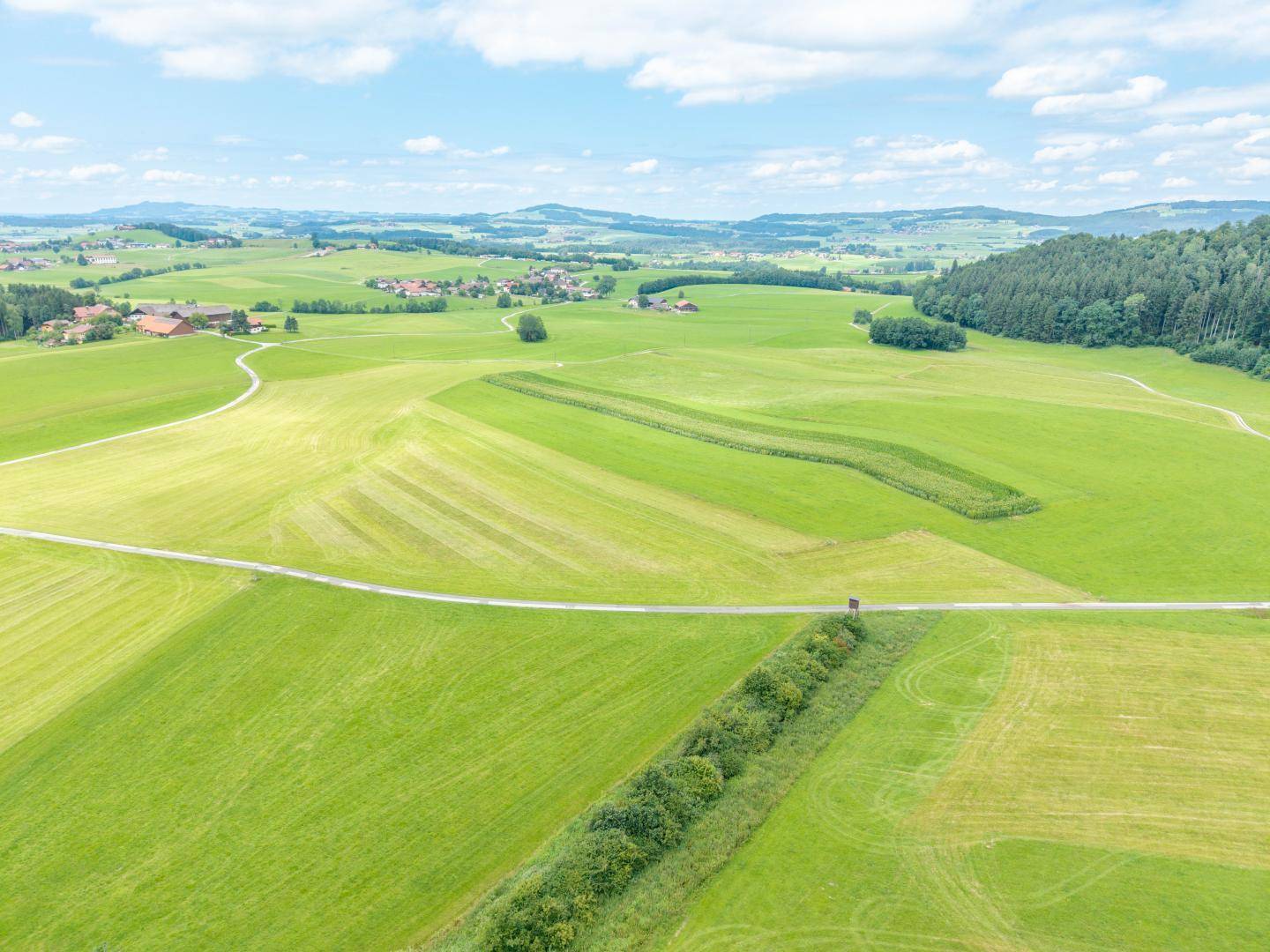 Landwirtschaftliche Nutzfläche in Neumarkt am Wallersee