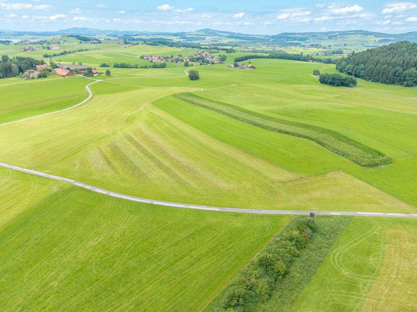Landwirtschaftliche Nutzfläche in Neumarkt am Wallersee