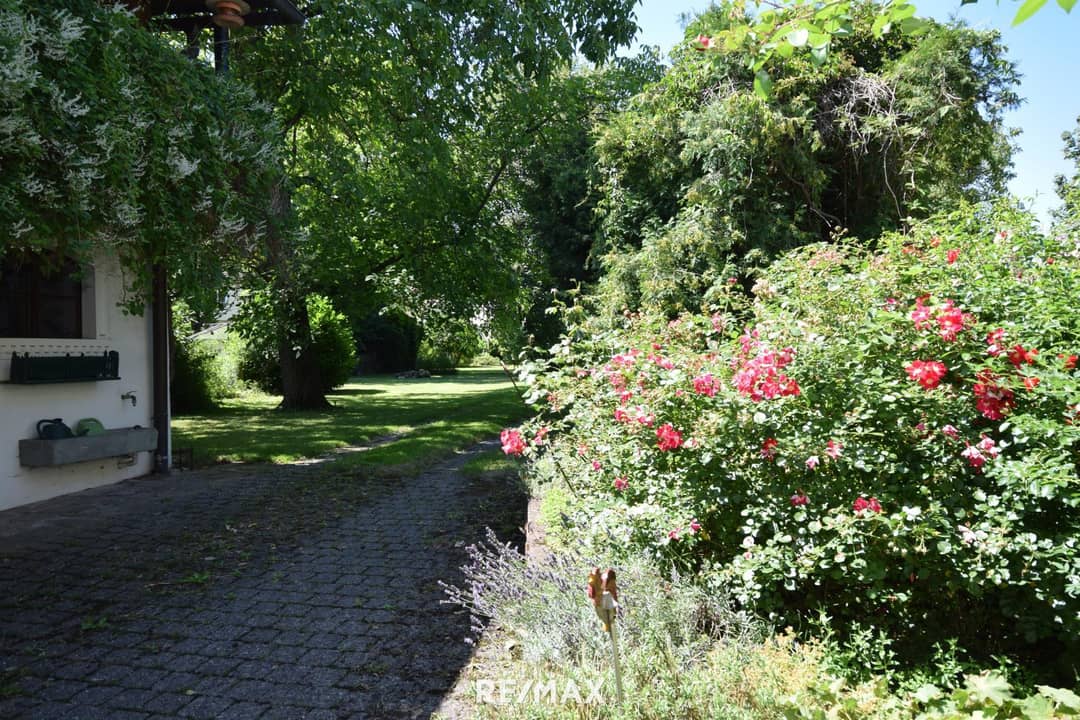 Blick in den Garten