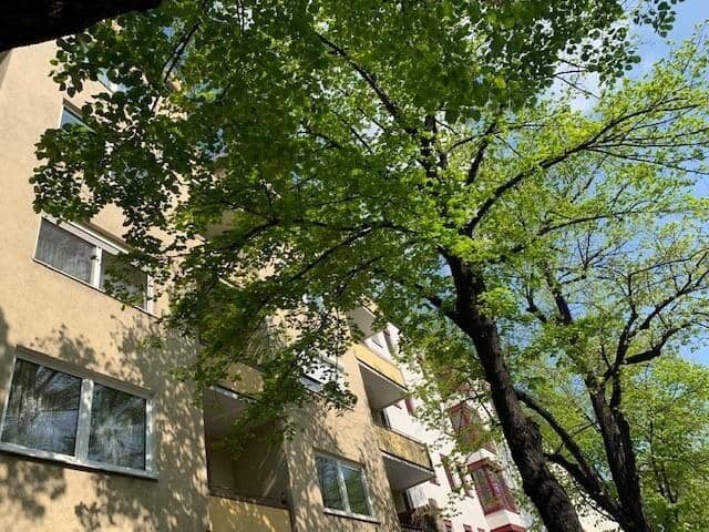 Investment apartment with yield and large cellar