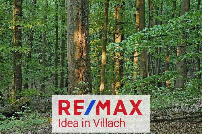 Waldparzellen in Görtschach und Vorderberg