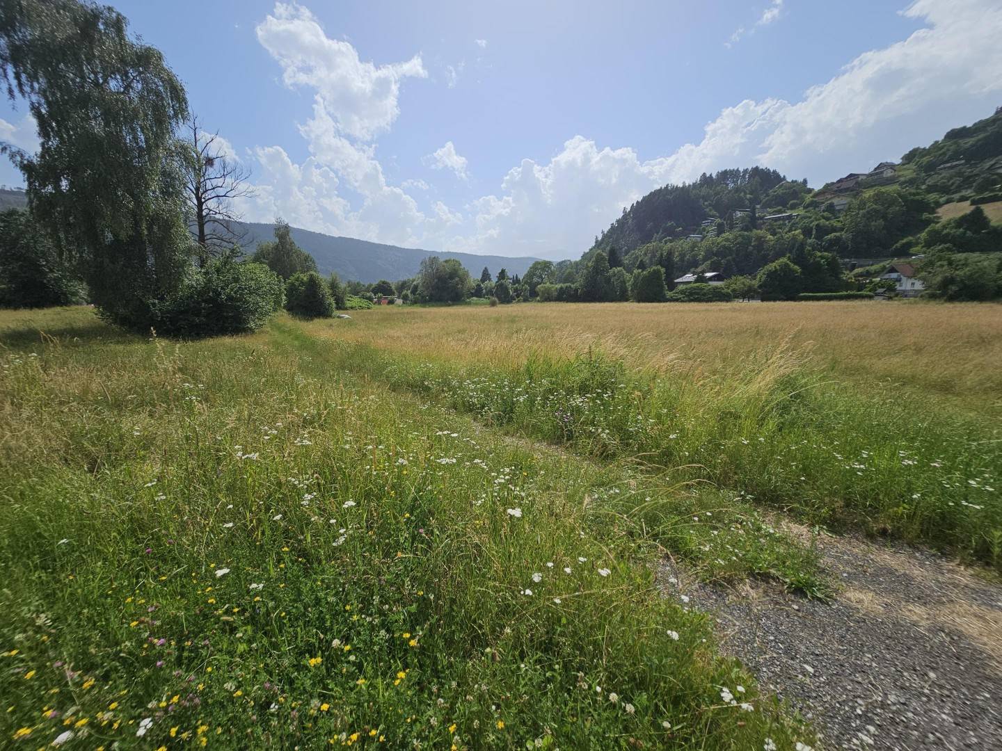 Grundstück in Döbriach am Millstätter See, 9.724 m², Bauland Kurgebiet