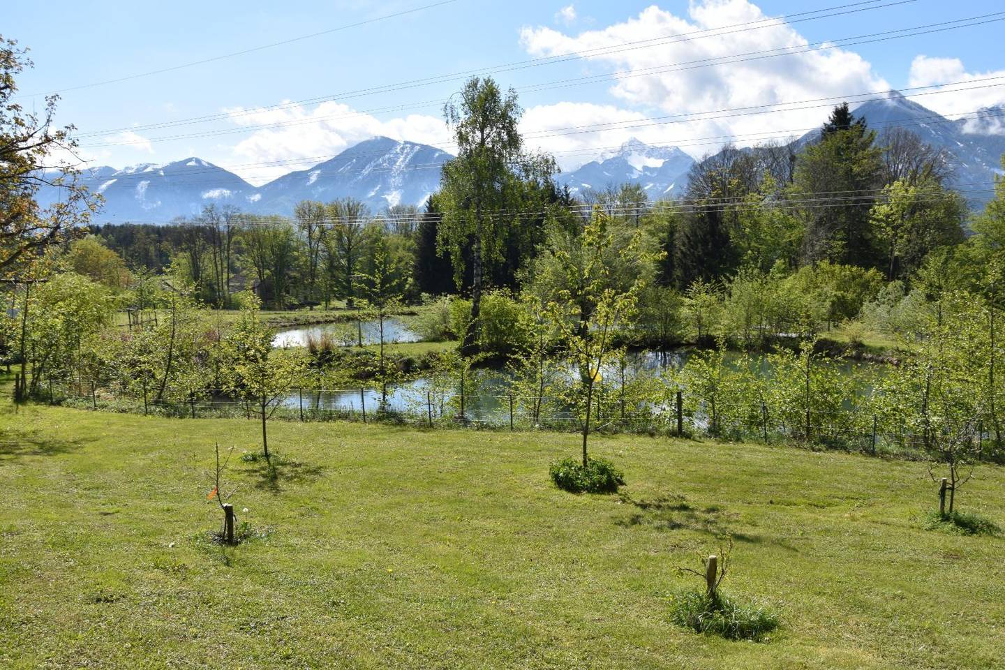 Land-/Forstwirtschaftliches Anwesen in Ludmannsdorf - 3 Zimmer
