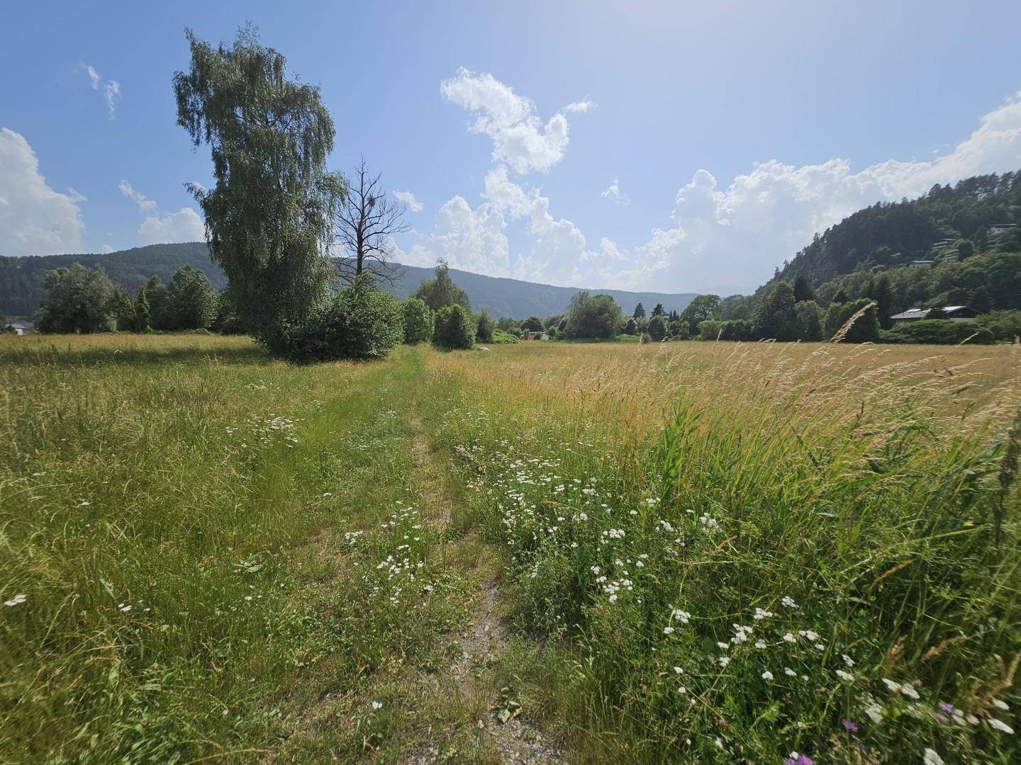 Attraktives Bauland in Döbriach – Seenähe, 6.855 m², Kurgebiet