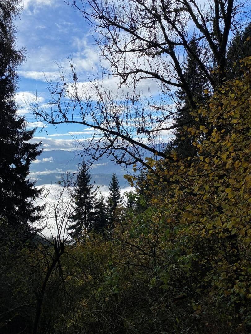 Waldgrundstück über dem Millstätter See, Kärnten – 2,3 ha, Hanglage