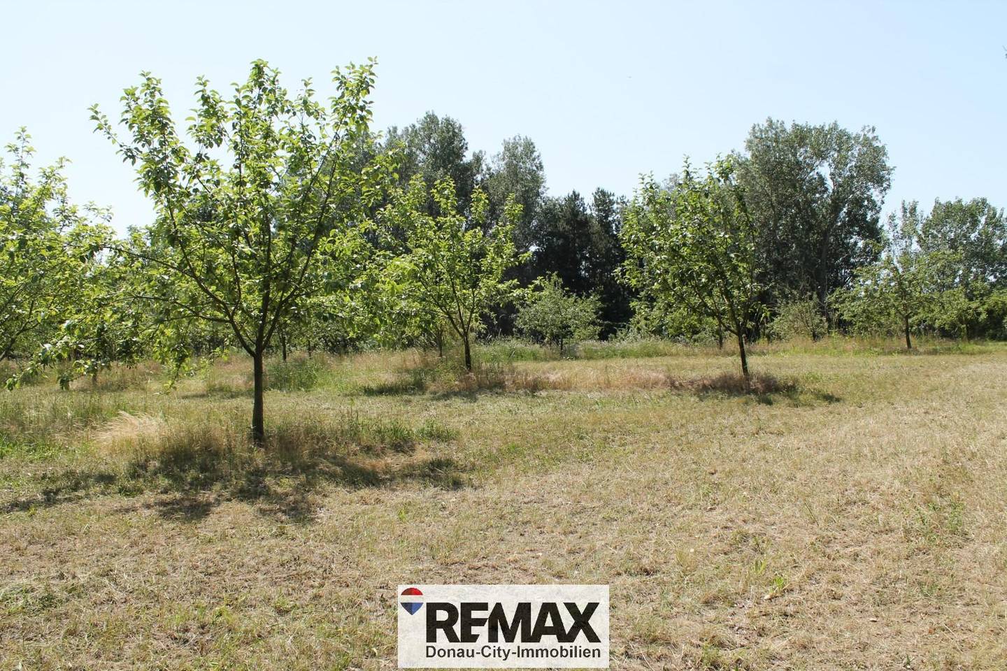 Bauland Sondergebiet für Gastro oder Freizeit in Sierndorf – 5.000 m²