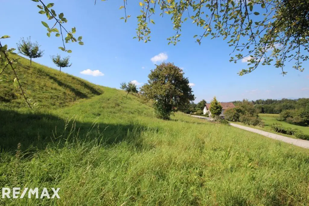 Sunny building plot with distant view Apartment