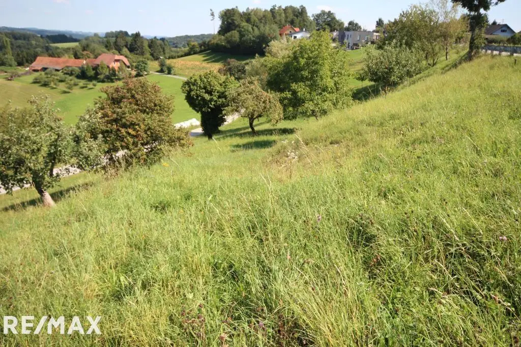 Sunny building plot with distant view Apartment