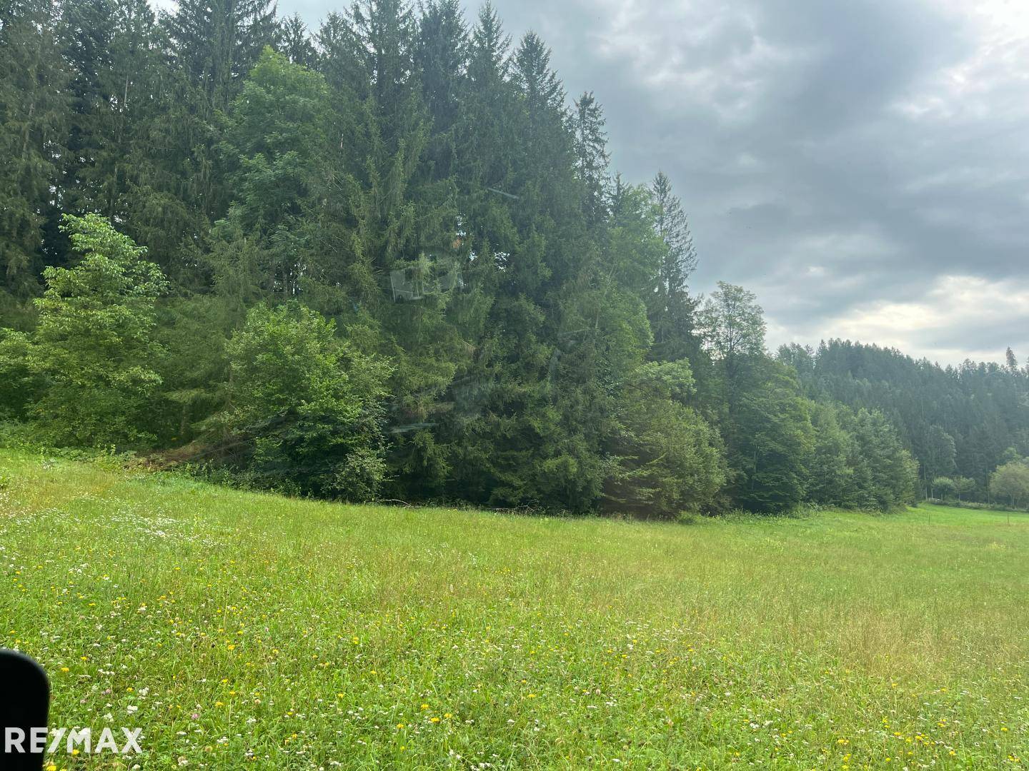 Wiesenfläche