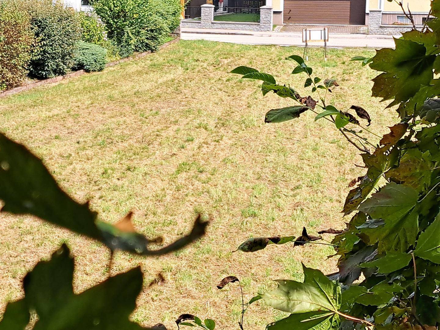 Baugrund am Stadtrand von Amstetten – 567 oder 1134 m², kein Bauzwang