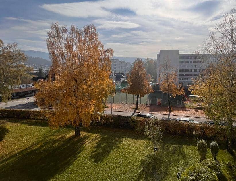 Wohnung mit sonniger Loggia und großem Potenzial