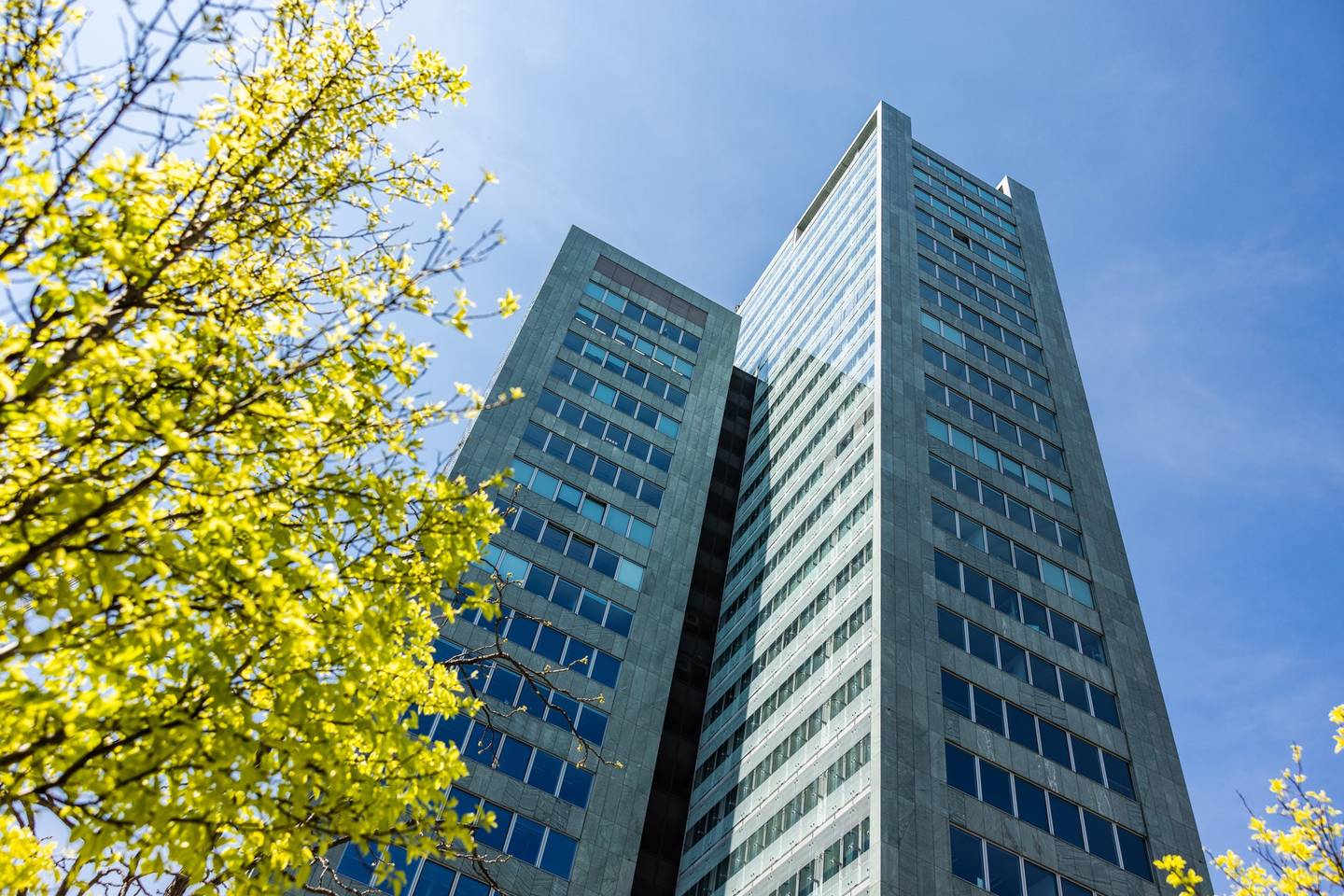 Bürofläche 447 m2 im Ares Tower, Donau City, Wien 1220 – flexibel
