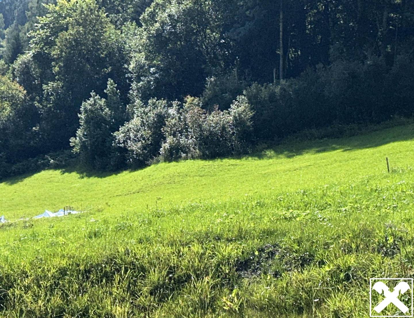Baugrundstück in Taxenbach Höf – sonnige Lage, GFZ 0,55, 1.000 m²